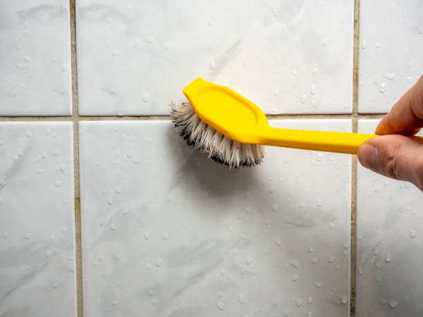 Best Certified Mold Removal  in South Coventry, CT