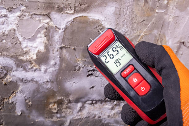 Best Emergency Mold Removal  in South Coventry, CT