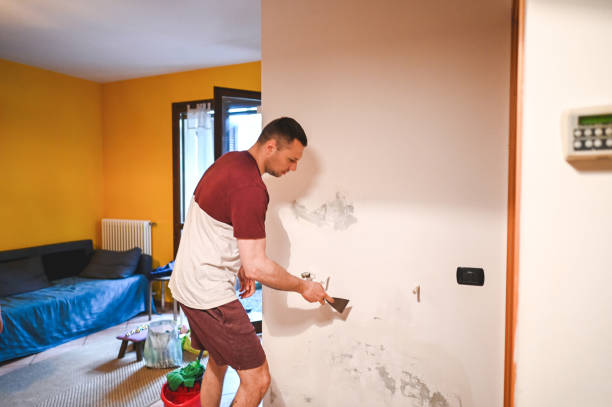 Mold Testing and Removal in South Coventry, CT
